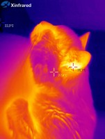 Kamera termowizyjna do smartfona Xinfrared T2S+ - Lightning