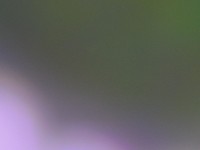 Usługa czyszczenie matrycy w lustrzankach i bezlusterkowcach