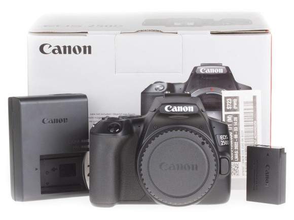Aparat cyfrowy Canon EOS 250D |K202646|