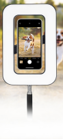 Lampa LED Newell Freya -do iPhone, Android