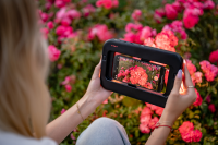 Lampa LED Newell Freya -do iPhone, Android