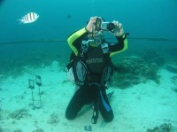 Obudowa podwodna DicaPac WP-310