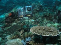 Obudowa podwodna DicaPac WP-310