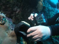 Obudowa podwodna DicaPac WP-310