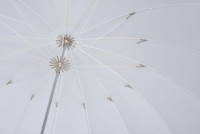 Parasol Elfo biały PRO 100