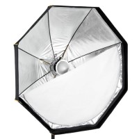 Profoto OCF Beauty Dish Silver 2 60 cm