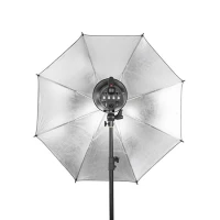 Zestaw Quadralite/Quantuum Move 300 kit