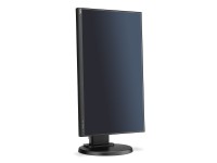 Monitor Nec MultiSync E221N 