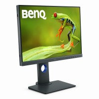 Monitor Benq SW240 - 24 cale FullHD czarny + kaptur ochronny 