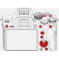 Wypożyczenie aparat cyfrowy Sony A7R III Body 