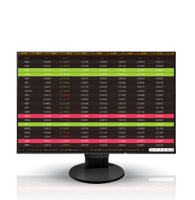 Monitor Eizo  FlexScan EV2456
