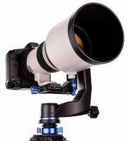 Głowica gimbalowa Benro GH-5C