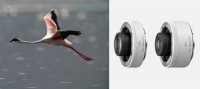 Obiektyw Sony FE 600mm f/4 GM OSS Sony E 