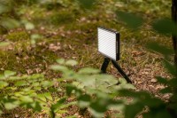 Lampa LED Newell 320i