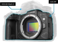 Aparat cyfrowy Canon EOS RP + ob. RF 24-105 F4.0 L IS USM + adapter EF-EOS R