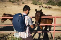 Plecak Peak Design Everyday Backpack 20L Zip - Niebieski - EDLv2 (BEDBZ-20-MN-2)