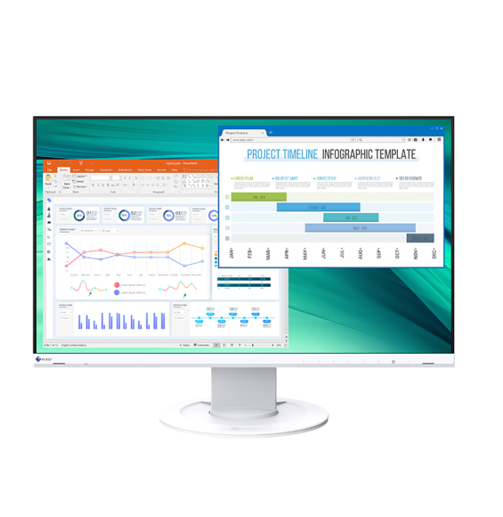 Monitor Eizo FlexScan EV2460 23,8"