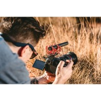 Mikrofon Rode VideoMic NTG