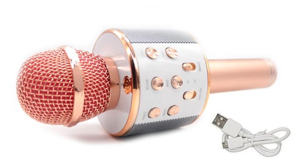 Mikrofon karaoke z wbudowanym głośnikiem WS-858 różowy