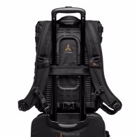 Plecak Lowepro ProTactic BP 300 AW II