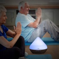 Dyfuzor zapachowy Anjou AJ-AD001 - olcha