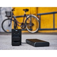 Ładowarka dwukanałowa Newell DL-USB-C do akumulatorów NP-F550/770/970