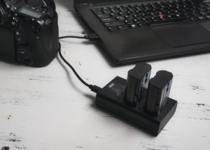 Ładowarka dwukanałowa Newell DL-USB-C do akumulatorów A4A