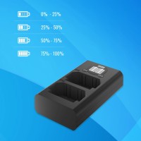 Ładowarka dwukanałowa Newell DL-USB-C do akumulatorów A4A