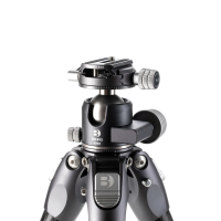 Statyw Benro Tortoise 34C Carbon - bez głowicy (TTOR34C)