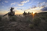 Aparat cyfrowy Nikon Z7 II body