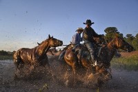 Aparat cyfrowy Nikon Z7 II body