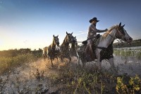 Aparat cyfrowy Nikon Z7 II body