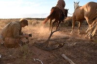 Aparat cyfrowy Nikon Z7 II body