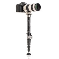 Monopod Benro SupaDupa MSD36C
