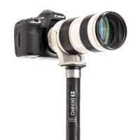 Monopod Benro SupaDupa MSD36C