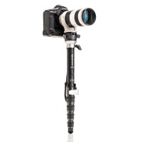 Monopod Benro SupaDupa Pro MSDPL46C