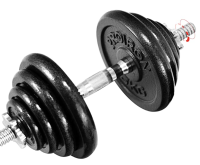 Zestaw talerzy żeliwnych Proiron 4x1.25 kg