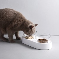 Regulowana miska do karmienia kota PetKit Fresh Nano