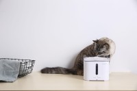 Poidło fontanna do picia  PetKit Eversweet 2S dla psa lub kota 