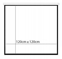 Ekran projekcyjny Hant System 120x120cm 67''