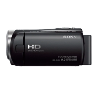 Kamera Handycam Sony HDR-CX450