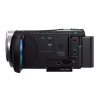 Kamera Handycam Sony HDR-CX450