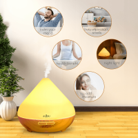 Dyfuzor zapachowy Anjou AJ-AD001 