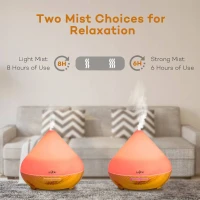 Dyfuzor zapachowy Anjou AJ-AD001 