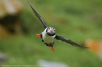 Aparat cyfrowy Sony A6700 + obiektyw 16-50mm - ILCE-6700L