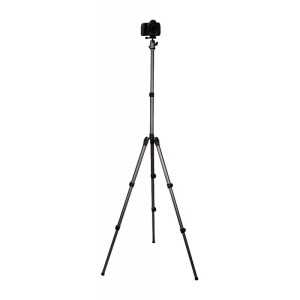 Statyw Fotopro D-5 z głowicą kulową FPH-42Q